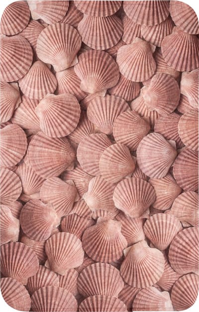 WC mat 50x80 cm - Antislip - Schelpen - Patroon - Roze - Toiletmat - Vloermat - Douchemat - Toilet tapijt - Toiletmatten
