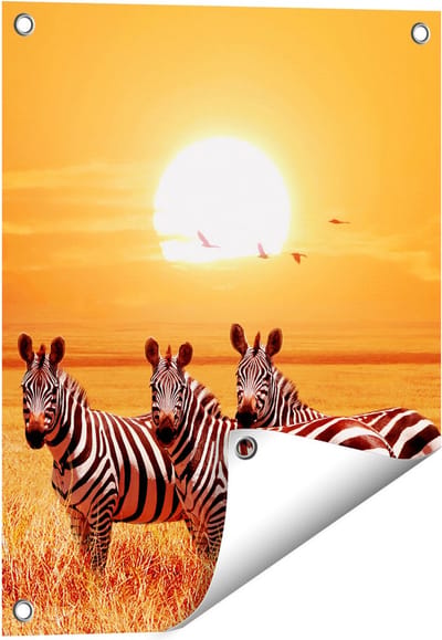 Gards Tuinposter Drie Zebra's bij Zonsondergang - 40x50 cm - Tuindoek - Tuindecoratie - Wanddecoratie buiten - Tuinschilderij
