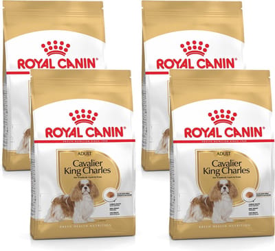 Royal Canin Cavalier King Charles Adult - Hondenvoer - 4 x 3 kg
