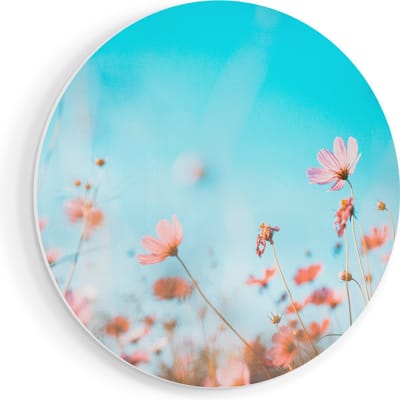 Artaza Forex Muurcirkel Paarse Kosmos Bloemen - 80x80 cm - Groot - Wandcirkel - Rond Schilderij - Wanddecoratie Cirkel