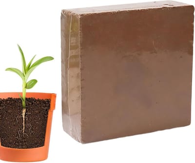 Potgrond Blok - Planten Aarde - Planten Kweken - Optimaal Vochtbehoud - 300g - Bruin