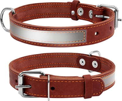 WAUDOG CoLLar Halsband / Hondenhalsband - Leder - Bruin - Reflecterend - Breedte: 25 mm - Nekomtrek: 38 - 50 cm (GELIEVE ALVORENS BESTELLEN OPMETEN)