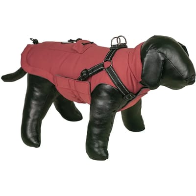 2 in 1 hondenjas Nobby Pet Rica