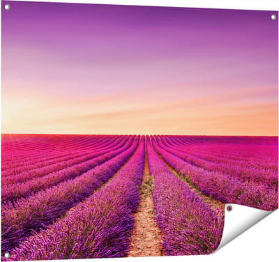 Gards Tuinposter Paarse Lavendel Bloemenveld - 100x80 cm - Tuindoek - Tuindecoratie - Wanddecoratie buiten - Tuinschilderij