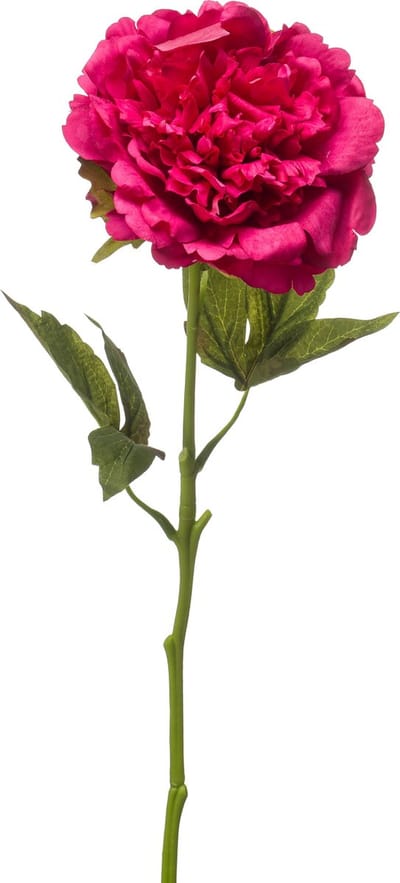 Emerald - Kunstbloem Pioenroos RT 56cm fuchsia - Kunstplant voor binnen