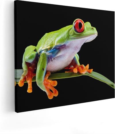 Artaza Canvas Schilderij Dieren - 50x40 cm - Wanddecoratie Kikker - Muurdecoratie Jungle - Kamer Accessoires