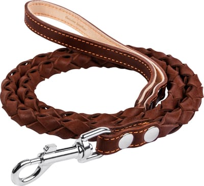 WAUDOG Classic Hondenriem - Gevlochten (rond) - Leder - Bruin - Diameter: 16 mm - Lengte: 122 cm