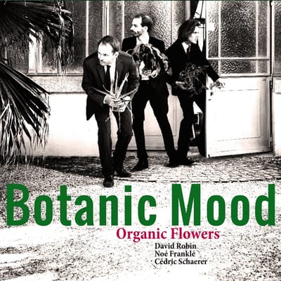 Organic Flowers - Botanic Mood (LP)