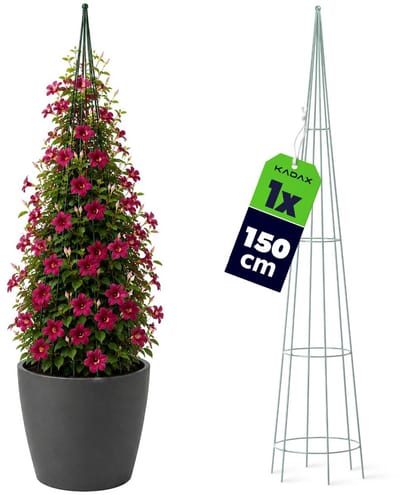 KADAX Klimhulp, vrijstaande rankzuil voor tuin, rozen, klimplanten, ranktoren van staal, klimhulp, klimframe, weerbestendige piramide, decoratie, groen (hoogte: 150 cm)