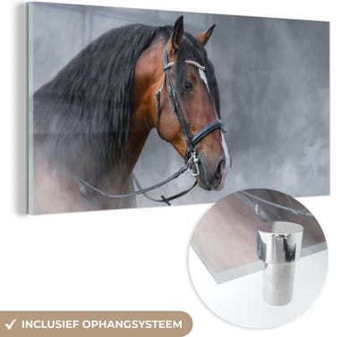 MuchoWow® Glasschilderij 40x20 cm - Schilderij acrylglas - Paard - Rook - Halster - Foto op glas - Schilderijen