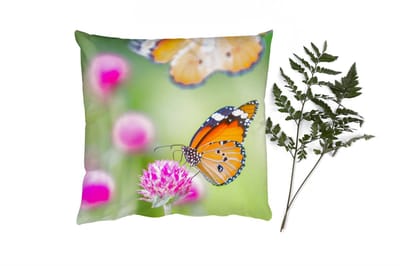 Sierkussens - Kussentjes Woonkamer - 40x40 cm - Insecten - Vlinders - Bloemen