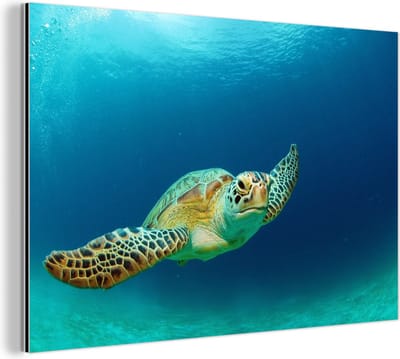 Wanddecoratie Metaal - Aluminium Schilderij Industrieel - Close-up foto van groene zeeschildpad - 30x20 cm - Dibond - Foto op aluminium - Industriële muurdecoratie - Voor de woonkamer/slaapkamer