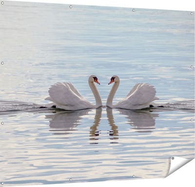 Gards Tuinposter Zwanen Koppel op het Water - 150x120 cm - Tuindoek - Tuindecoratie - Wanddecoratie buiten - Tuinschilderij
