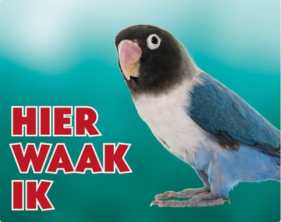 Hier waak ik 153 agapornis blauw NL waakbord met een gekleurde achtergrond