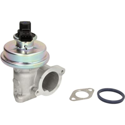 EGR-klep DELPHI EG10449