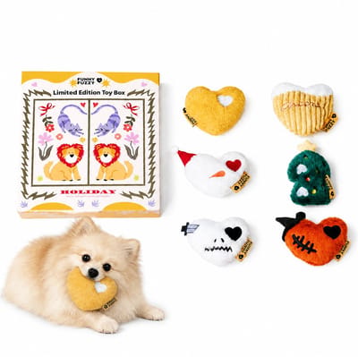 Funny Fuzzy 2026 Pet Toy Box – 6 Pluchen Squeakers, Festivalseditie