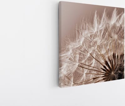 Saammp Canvas Schilderij - Pluizige Paardebloem - Natuur - Abstract - 20x20 - Foto op canvas - Wanddecoratie - Muurdecoratie Woonkamer - Kantoor Decoratie