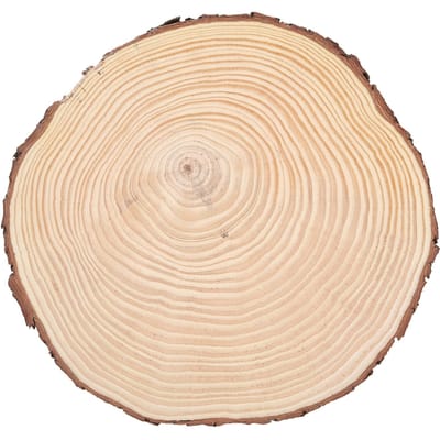 Rondelles de Bois Naturel Cercles de Bois Non Finis Ornements Rondelles de Bois Irrégulières avec Écorce 22.5x23cm 8.9x9.1in beige