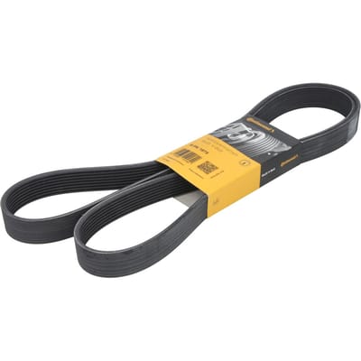 Continental Ctam V-riem CONTINENTAL 8PK1875