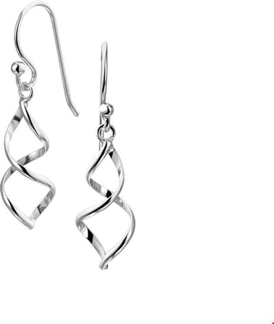Huiscollectie Oorhangers Zilver Gerhodineerd Glanzend 34 mm x 8 mm