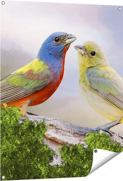 Gards Tuinposter Getekende Gorzen Vogels - Kleur - Abstract - 80x100 cm - Tuindoek - Tuindecoratie - Wanddecoratie buiten - Tuinschilderij