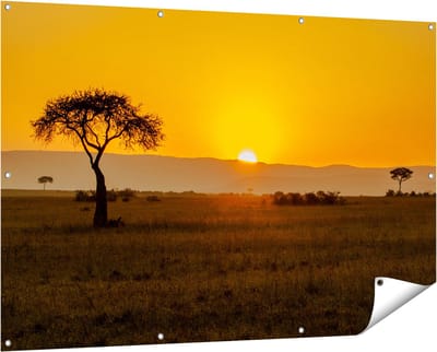 Gards Tuinposter Zonsopgang in de Savanne met een Boom - 150x100 cm - Tuindoek - Tuindecoratie - Wanddecoratie buiten - Tuinschilderij