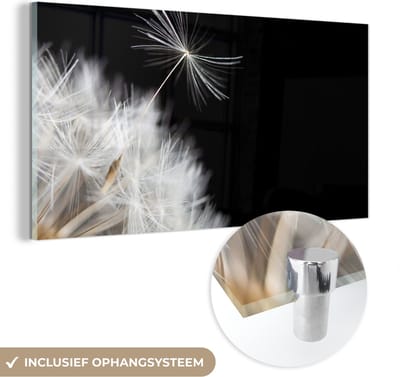 MuchoWow® Glasschilderij 40x20 cm - Schilderij acrylglas - Bloem - Paardenbloem - Plant - Foto op glas - Schilderijen