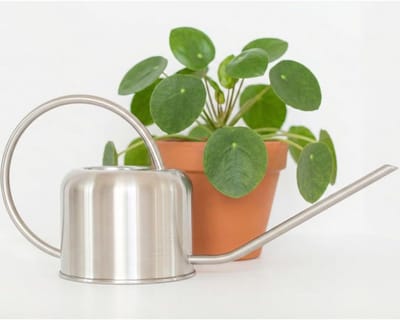 Luxe Roestvrijstalen Gieter voor Kamerplanten en Binnenplanten | 1 Liter