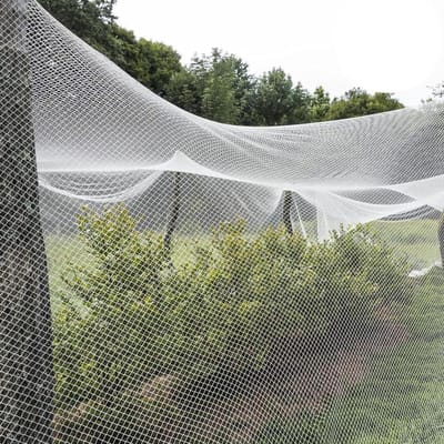 Beschermnet voor Planten - Tuinnet Vangnet - Bescherming tegen Ongedierte - Fijnmazig Ontwerp - 1 x 50 m - Wit
