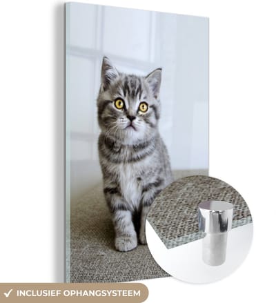 MuchoWow® Glasschilderij 20x30 cm - Schilderij acrylglas - Kitten - Ogen - Geel - Meisjes - Kinderen - Jongens - Kids - Foto op glas - Schilderijen