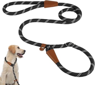 Verstelbare Hondenriem voor Puppy’s en Honden van Kleine tot Grote Rassen, Reflecterend en Duurzaam Nylon voor Training en Wandelen (Zwart, 1.8m)