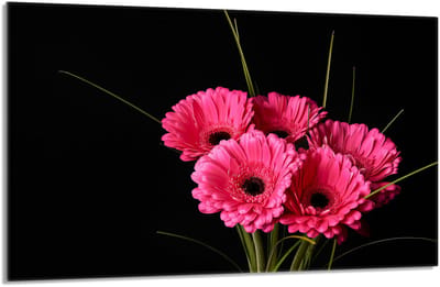 TMK ArtDeko Serie - Glazen Beschermplaat voor Kookplaat - 80x52 cm - Veelkleurig - Modern Design