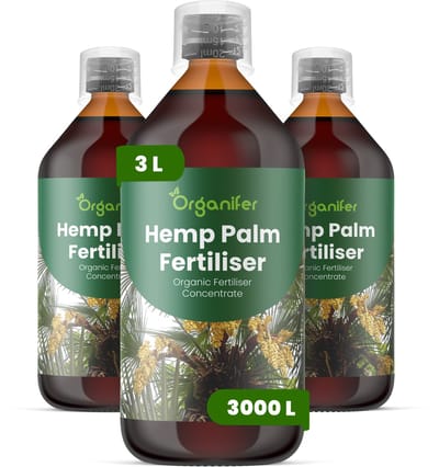 Vloeibare Meststof Voor Henneppalm 3X1 L Voor 3000 L - Npk 2-1-8 - Dichtheid - Sterk Wortelstelsel - Ondersteunt Krachtige Blad- En Stamontwikkeling - Behoudt Een Sterke Plantstructuur Gedurende Het Groeiseizoen - Organifer