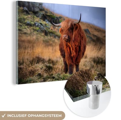 MuchoWow® Glasschilderij 120x80 cm - Schilderij acrylglas - Schotse Hooglander - Gras - Stenen - Foto op glas - Schilderijen