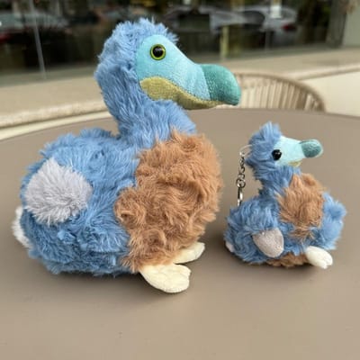 Treasuringu Nieuwe Dodo Pluche Speelgoed Schattige Dierlijke Vogels Gevulde Pop Dodo Pluchepop Kinderpop Verjaardagscadeaus