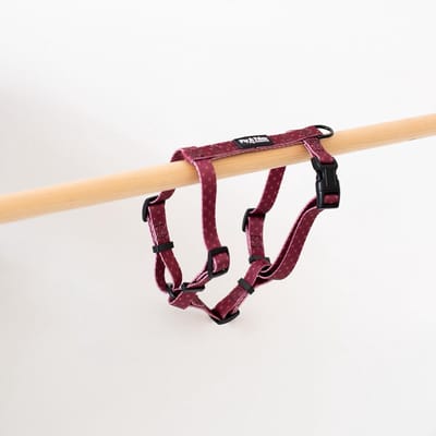 Pip & Palms - Hondentuig Burgundy Best - Rood - Maat XS - Verstelbaar - Hondentuigje - Y Tuig Hond - voor Kleine honden