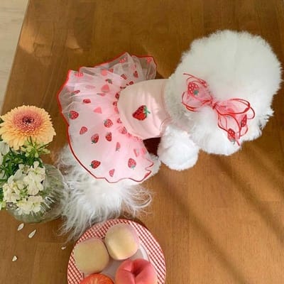1 pièce Robe pour animal de compagnie, Robe d'été légère en tulle pour chiens, Caniche, Bichon Frisé, Teddy, Yorkshire Terrier, Schnauzer, Petite race XL rose