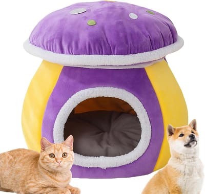 Kattenmand - Huisdier Nest - Veilig Slapen - Paddenstoelvorm - 40x40x33 cm - Paars
