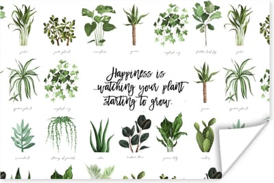 Poster Quotes - Spreuken - Happiness is... watching your plant starting to grow - 180x120 cm XXL