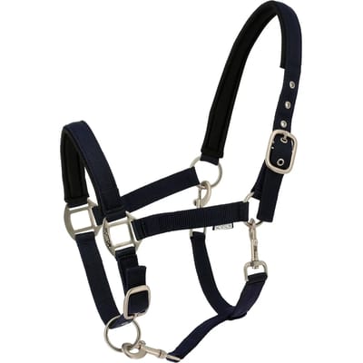 Halster voor paarden Norton Nacre