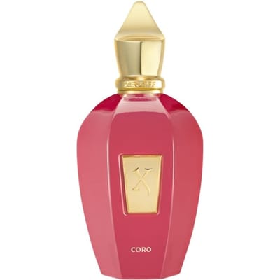 XERJOFF Vibe Collection Eau de Parfum Spray Damesparfum Unisex 100 ml