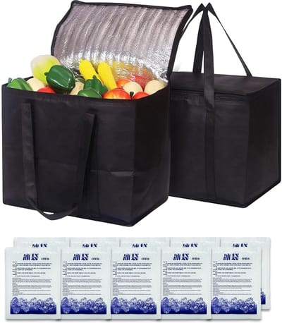 Dailygoods- Koeltas Set 2 Stuks 20 Liter - Opvouwbaar - Isolatietas - Picknicktas - Duurzaam - Inclusief 10 IJszakken