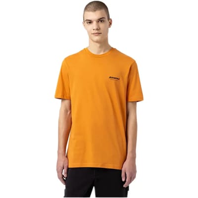 Dickies Artondale Box T-shirt Met Korte Mouwen Geel S Man