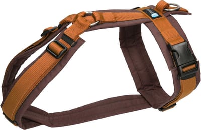 AnnyX Hondentuig - fun - Kaneel/Bruin - XXS - Borstomvang 36-42cm - Gewicht Hond 3-7 kg