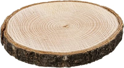 Secret de Gourmet - ronde onderzetters voor glazen - 4x stuks - D10 cm - hout