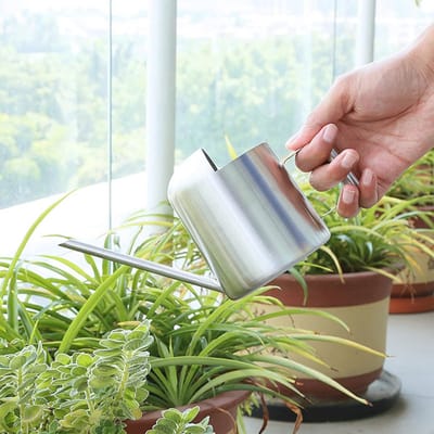 Miniatuur Gieter 300 ml voor Kamerplanten – Roestvrij Staal met Lange Uitloop