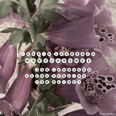 Ingrid Laubrock, Jon Irabagon, Tom Rainey - Monochromes (CD)