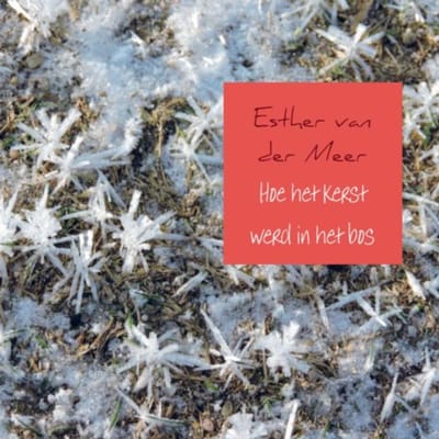 Hoe Het Kerst Werd In Het Bos - Esther van der Meer - van der Me