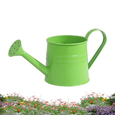 Gieter, 1 liter, ijzer, modern tuingereedschap, metalen kamerplantensprinkler, rustieke boerenpot, ergonomische pot met smalle uitloop voor thuis, kas, tuin, binnenplaats, weg, landscha