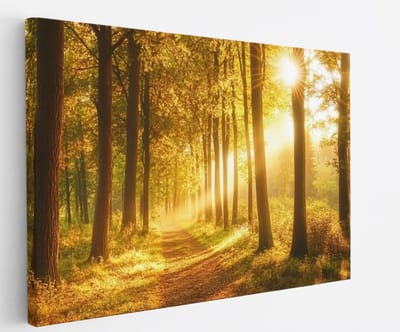 Saammp Canvas Schilderij - Bos tijdens Goldenhour - Herfst - Natuur - 45x30 - Foto op canvas - Wanddecoratie - Muurdecoratie Woonkamer - Slaapkamer decoratie - Canvas Print